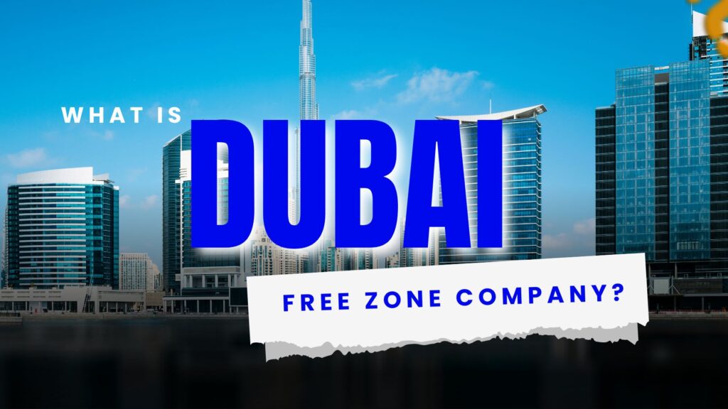 What is Dubai Free Zone Company